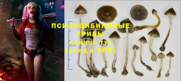 тгк Кодинск