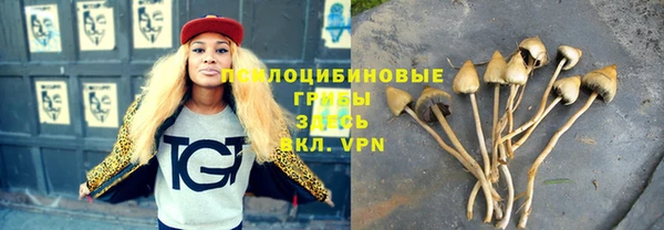ECSTASY Кинешма